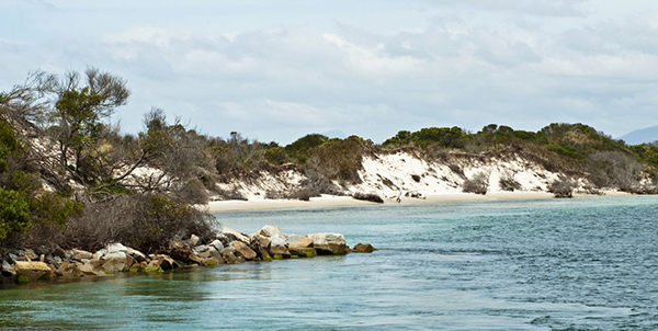 辽宁青年杂志电子版 辽宁青年杂志电子版