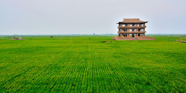 辽宁青年杂志电子版 辽宁青年杂志电子版