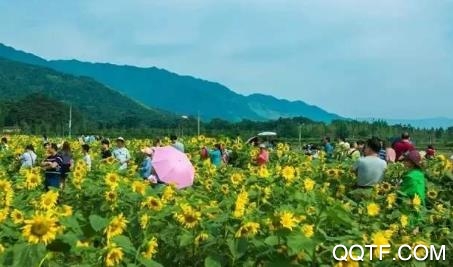 过周末app官方版 过周末app官方版