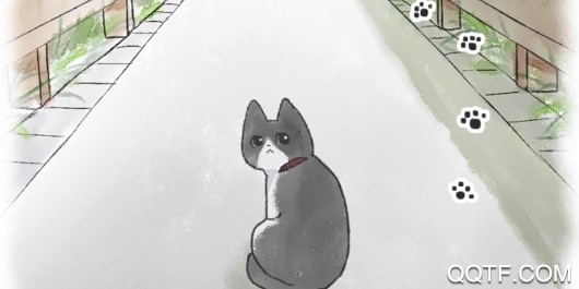 迷途猫中文配音版