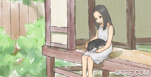 迷途猫中文配音版