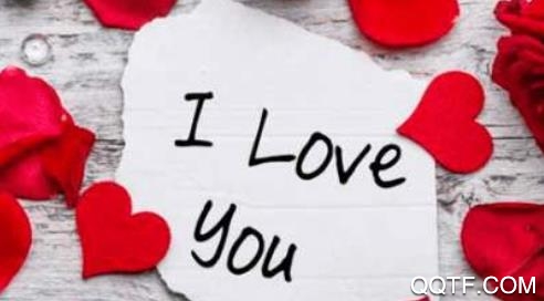 追爱秘籍app手机版