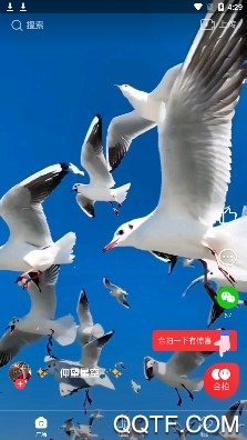 逗拍ios免费最新版 逗拍ios免费最新版