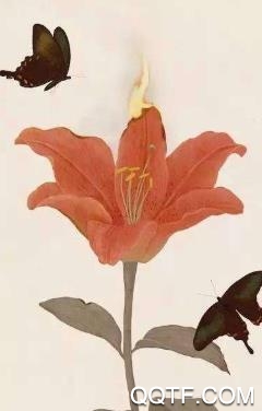 遥君书app官方版