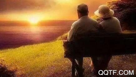 遥君书app官方版