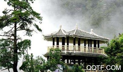 金秀融媒客户端