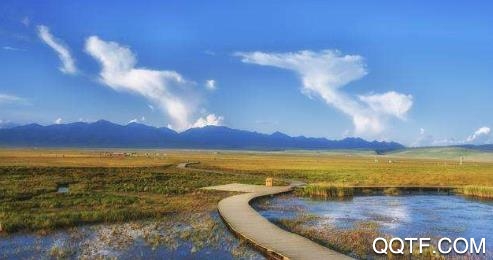 长垣同城圈平台 长垣同城圈平台
