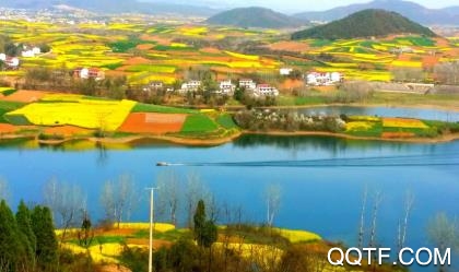 陕视新闻app官方版 陕视新闻app官方版