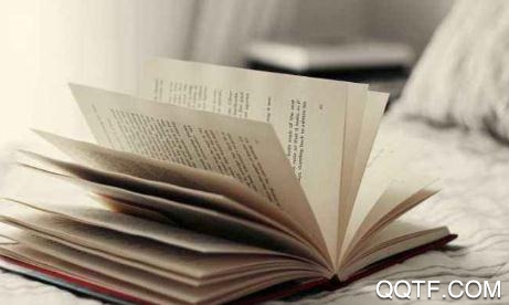 香芒小说App最新版