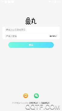 鱼丸交友app安卓版