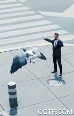 鸽子横冲直撞模拟器手游最新版 鸽子横冲直撞模拟器手游最新版