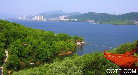 鹰城通app最新版