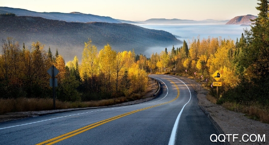 鹿久久(图片社交)app官方版