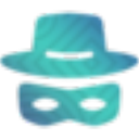 Starus Web Detective