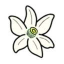 Azaharplus模拟器使用指南与性能优化