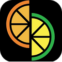 Citron模拟器软件使用指南与功能解析