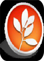 lol美服语音包 绿色版