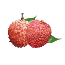 增城泊车app v1.7.2安卓版