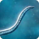 孢子模拟器最新版(Bionix) v55.96安卓版