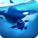 小小水世界游戏 v4.52.1安卓版