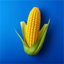 我的农场官方正版 v3.23.0安卓版 - 冰河游戏