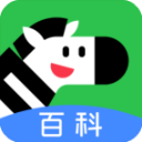 斑马百科App v2.24.0安卓版 - 冰河游戏资讯阅读应用