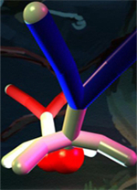 橡胶忍者电脑版 免安装版