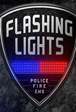 消防模拟(Flashing Lights