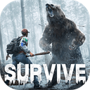 荒野迷城电脑版