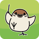 鸟之音手机版 v1.14.0安卓版