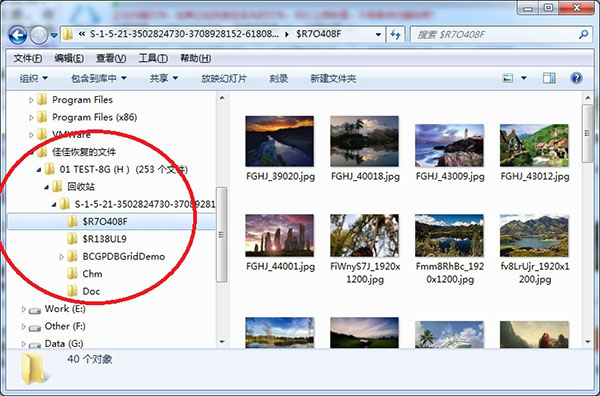 佳佳数据恢复专业版 v8.0.1官方版