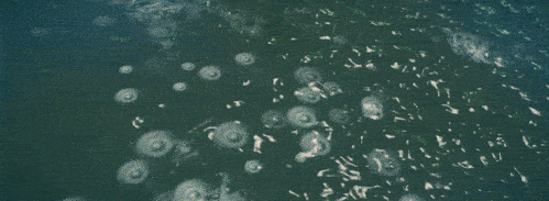 克苏鲁的信徒(Worshippers of Cthulhu) v0.9.6.0(图11)