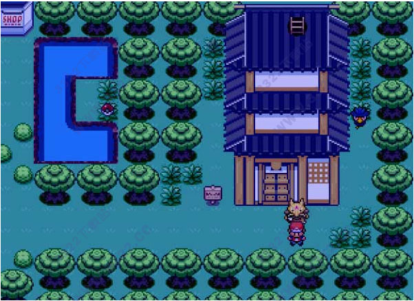 原生花2奇幻旅程简体中文免安装版 v2.0(图49)