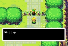 塞尔达传说神奇的帽子GBA模拟器版 (图13)