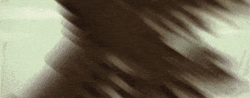 大江湖之苍龙与白鸟 v1.1.4.1(图2)