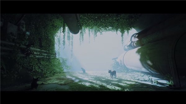 迷失stray电脑版 v1.5.368(图6)