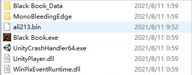 黑书(Black Book) (图13)