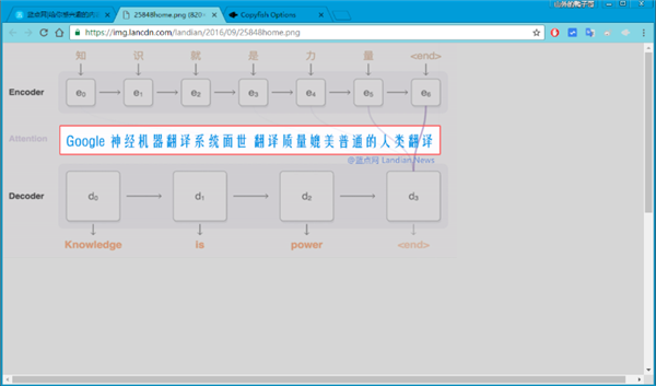 Copyfish(Chrome复制鱼插件) v6.1.5