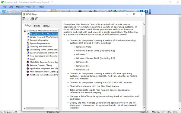 DameWare Mini Remote Control(远程控制软件) v12.1.096
