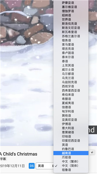 Dualsub(通用字幕渲染器) v2.12.0