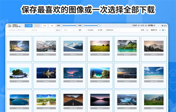 Fatkun插件(图片批量下载插件) v5.12.11官方版