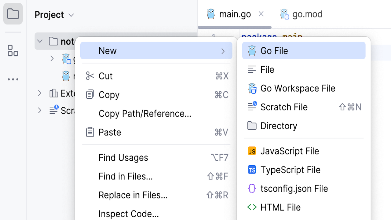 GoLand官网电脑版