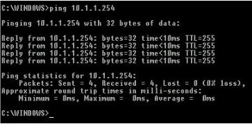 ICMPing(批量ping工具) v1.0