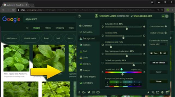 Midnight Lizard(Chrome自定义浏览器主题插件) v10.7.0