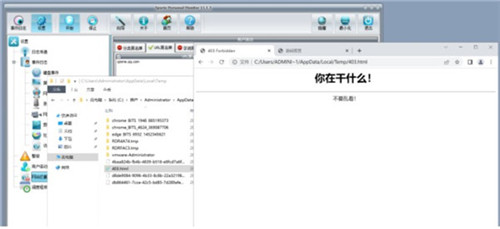 Spyrix Personal Monitor(电脑使用记录监控软件) v11.1.3.0完美版