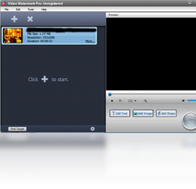 Video Watermark专业版