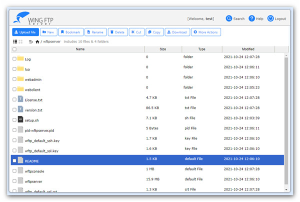 Wing FTP Server(FTP服务器) v8.1.1