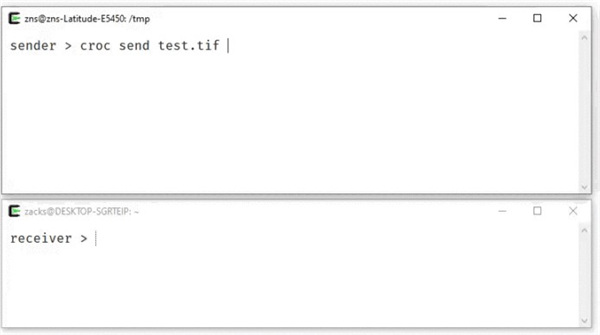 croc文件安全传输工具 v9.5.2