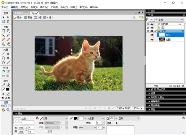 fireworks cs6中文版 附安装教程 fireworks cs6中文版 附安装教程