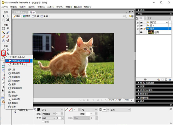 fireworks cs6中文版 附安装教程 fireworks cs6中文版 附安装教程